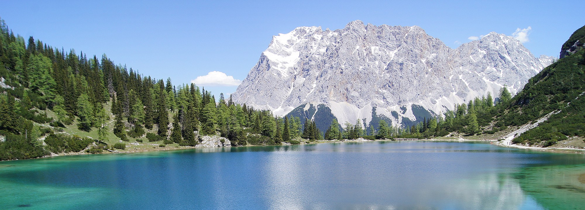 DSC08265.jpg